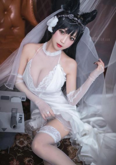 今天免费观看高清电视剧视频