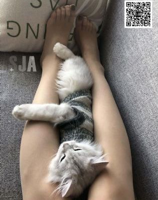 春天后母心电视剧全集免费观看