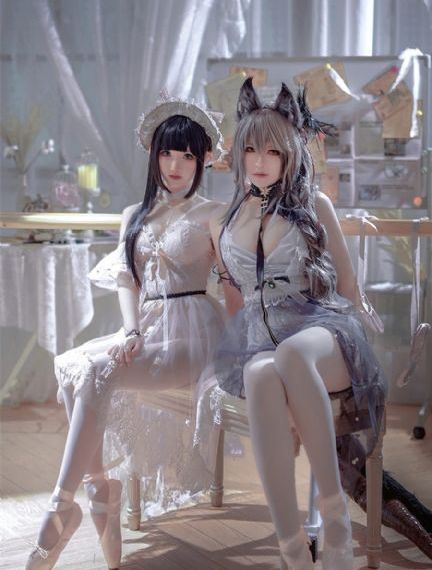茶狐杯copfox官网