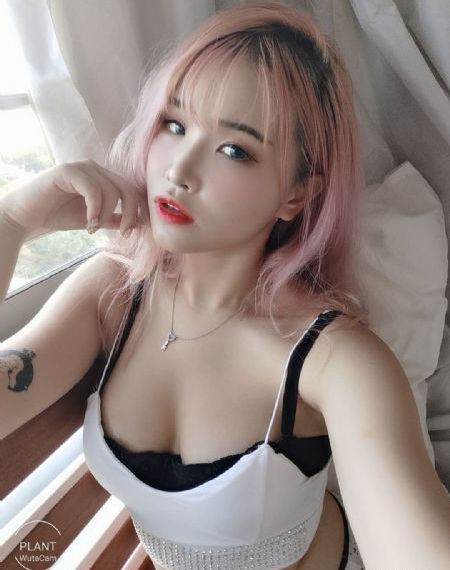 美女与野兽免费观看