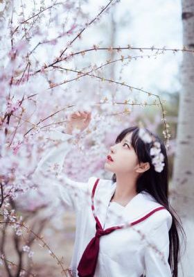 孽欲隔墙花